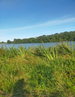 Balade bucolique sur les bord de l'Erdre - Angelie - 7