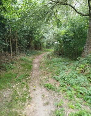 Profiter de la forêt à Argentan - Therese - 3