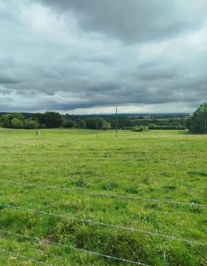 Profiter de la forêt à Argentan - Therese - 4