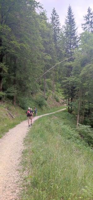 Petit tour du Meaudret et cabane de la Cochette - Autrans-Méaudre-en-Vercors - 6