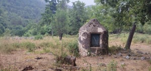 Saint-Vallier-de-Thiey et zénitude en forêt de Nans - Saint-Vallier-de-Thiey - 27