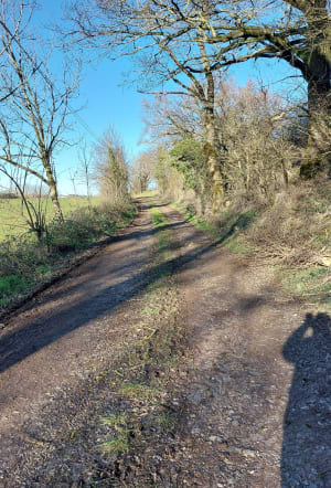 Onet le chateau - Ortholes - Onet-le-Château - 2