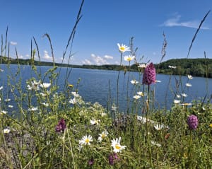 Autour des Lacs de l'Escourroux entre Lot-et-Garonne et Dordogne - Soumensac - 2