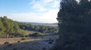 Balade des marmites - Gruissan - 16