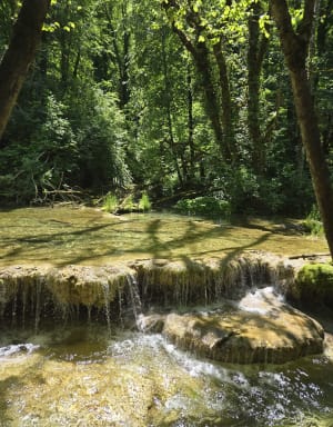 Cascade des tufs au Fer à cheval. - La Châtelaine - 39