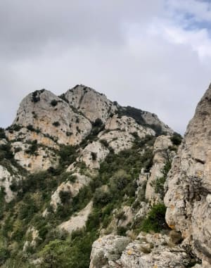 Grau du Maury, par le Col de Laprès dans les environs de Cucugnan - Cucugnan - 6