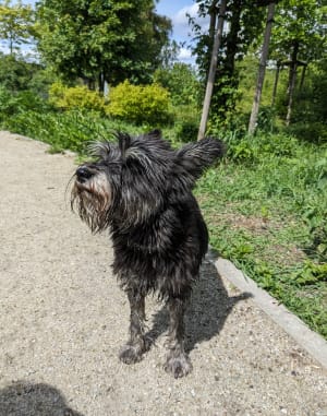 Park nad dolinką Służewiecką - Warszawa - 6