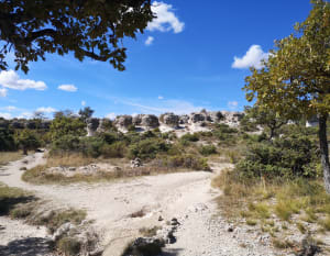 Les Moures la Citadelle de Forcalquier - Forcalquier - 16