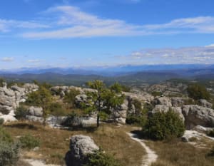 Les Moures la Citadelle de Forcalquier - Forcalquier - 17