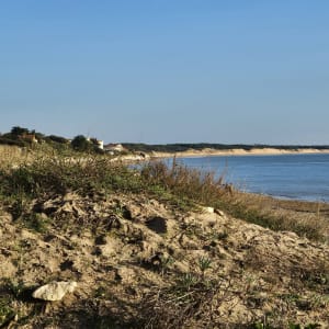 Forêt domaniale de Longeville-sur-Mer et bol d'air marin - Anne - 3