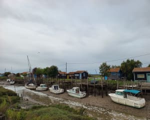 Sortie canal, marées, port de plaisance à Marennes - Marennes-Hiers-Brouage - 9