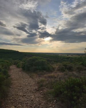Parcours Sportif de Pignan et Capitelle du Pioch des Montres - Julie - 6