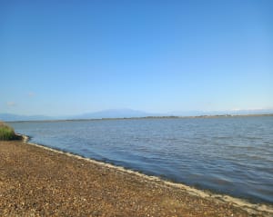 Balade entre l'étang de Canet-Saint-Nazaire et la mer - Canet-en-Roussillon - 16