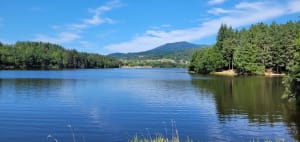 Wandel rond het meer van Aubusson - Aubusson-d'Auvergne - 14