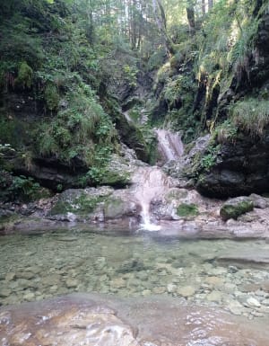 Excursion enchanteresse à la Cascade des Chaudières - Les Gras - 5
