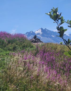 Les Deux Alpes en het magische uitzichtpunt bij Perrons - Les Deux Alpes - 52