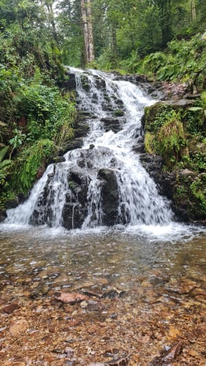 Balade à la Cascade de Faymont - Le Val-d'Ajol - 44