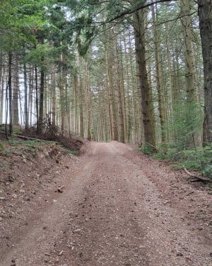 Crêt de la Grole depuis Les Sauvages - Les Sauvages - 3