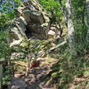 Sentier du granite à Bréel - Tiffany - 19