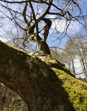 Morinerie et bois des Guillebourdières - La Cerlangue - 6