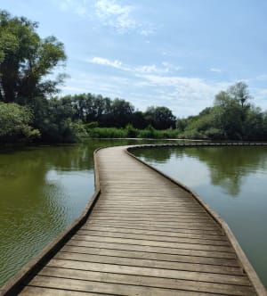 Le Quesnoy tussen vijver en wallen - Le Quesnoy - 3