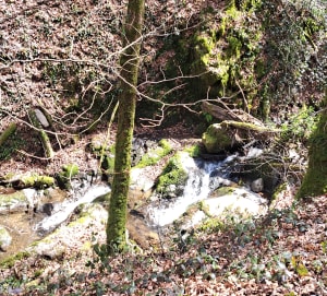 Balade en versant nord et fil d'Aveyron - Prévinquières - 4