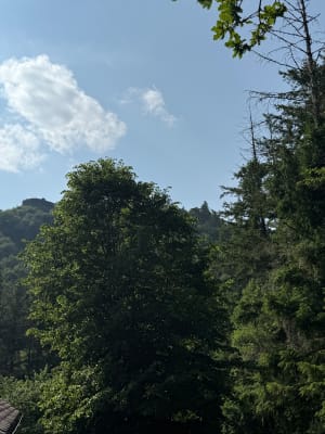 Moustier-Ventadour et le fief des troubadours - Moustier-Ventadour - 6