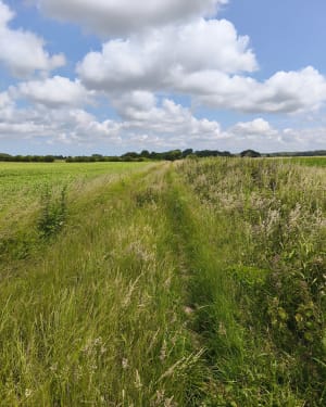 Autingues / Louches / Autingues par petit pont de fer et chemin - Autingues - 5