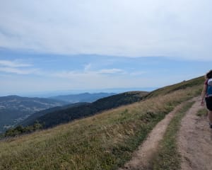 Col de la schlucht vers le honeck. - David - 22