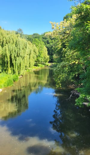 Boucle découverte autour des magnifiques villages de St-Cénéri et St-Léonard - Saint-Léonard-des-Bois - 11