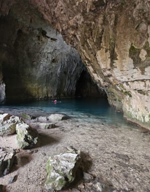 Pracht van de natuur tussen de Vercors-grot en de waterval - Choranche - 13