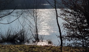 Les étangs de Conty - Conty - 19