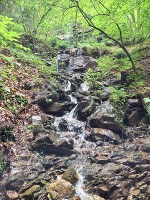 Promenade à la Cascade de la Piche - Prayols - 8