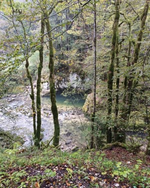 Sentier botanique et Trou Bleu depuis Bas-Morez. - Hauts-de-Bienne - 10