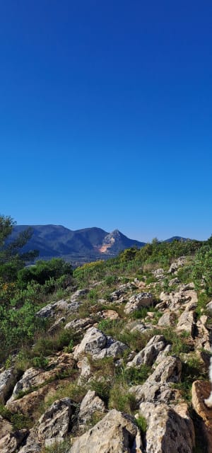 Brignoles : découverte de la capitale de la Provence verte - Brignoles - 7