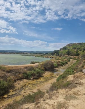 L'Etang du Doul - Peyriac-de-Mer - 41