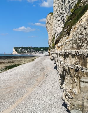 Fécamp, route par Grainval, retour plage - Fécamp - 25