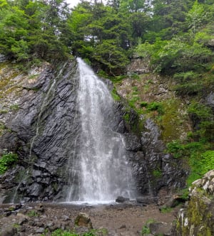 Evasion pédestre à la Cascade du Saut du Loup - Mont-Dore - 3