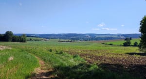 Tour Authevernes par le Bois Moulin - Authevernes - 9