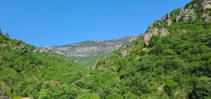 Het Infernet-cirque via het Fenestrettes-circuit - Saint-Guilhem-le-Désert - 85