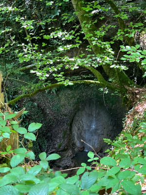 Sacré-Cœur et la Combière - Saint-Martin-de-Vaulserre - 22
