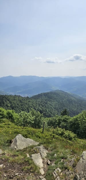 Sortie raquettes au Markstein par le Marksteinkopf - Ranspach - 2