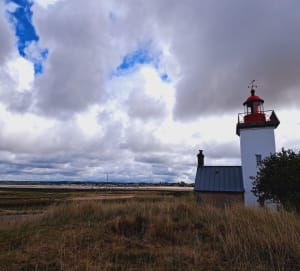 La Pointe d'Agon - Agon-Coutainville - 12