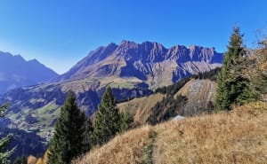 Montée au col de Jaillet et rêve d'envolée - La Giettaz - 7