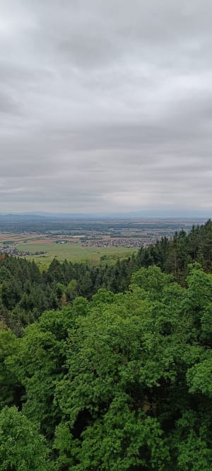Châteaux alsaciens depuis Husseren-les-Châteaux - Virginie - 4