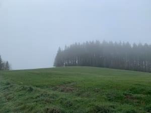 Balade bois de Chauffailles - Chauffailles - 7