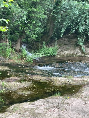 Le long de la Brague et Cascade  du Bruguet - Valbonne - 5