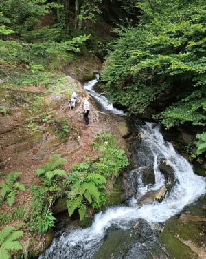 Entre torrent et cascade à Beaudean - Beaudean - 81