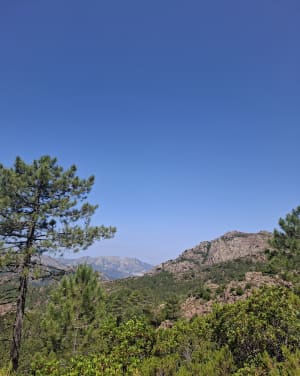 Forêt de Bonifatu par Punta di Ficaghiola - Calenzana - 7