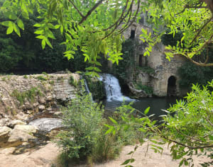 Grabels : on ne résiste pas à l'appel de l'oasis des garrigues - Manue - 4